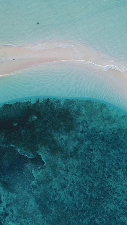 Vertical Drone Footage of the Sandy Beach with Turquoise Water Stock Footage 272715696