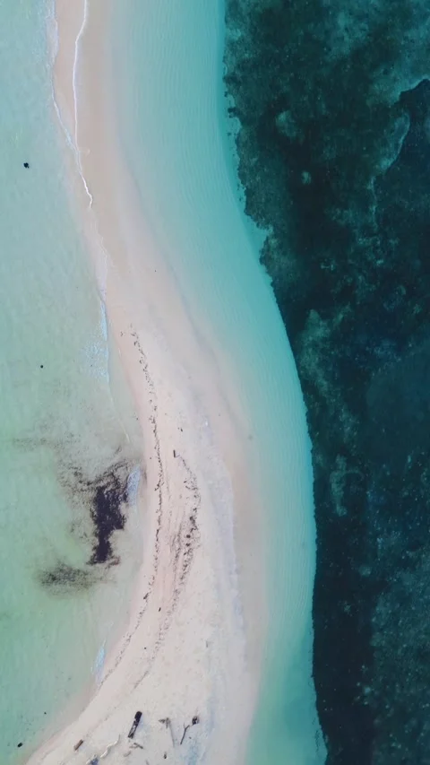 Vertical Drone Footage of the Sandy Beach with Turquoise Water Stock Footage 272715740