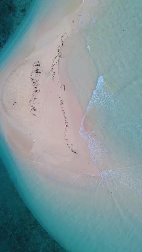 Vertical Drone Footage of the Sandy Beach with Turquoise Water Stock Footage 272715931