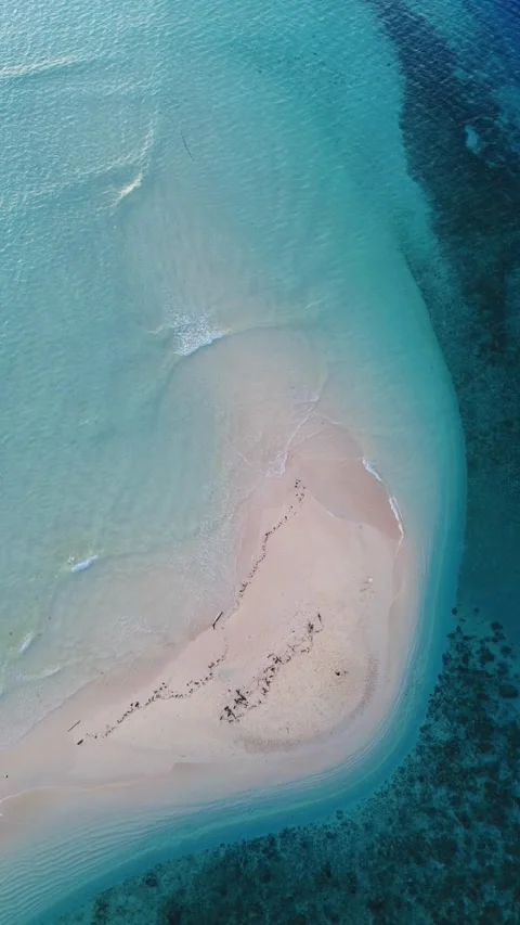 Vertical Drone Footage of the Sandy Beach with Turquoise Water Stock Footage 272716355
