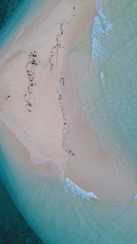 Vertical Drone Footage of the Sandy Beach with Turquoise Water Stock Footage 272716785