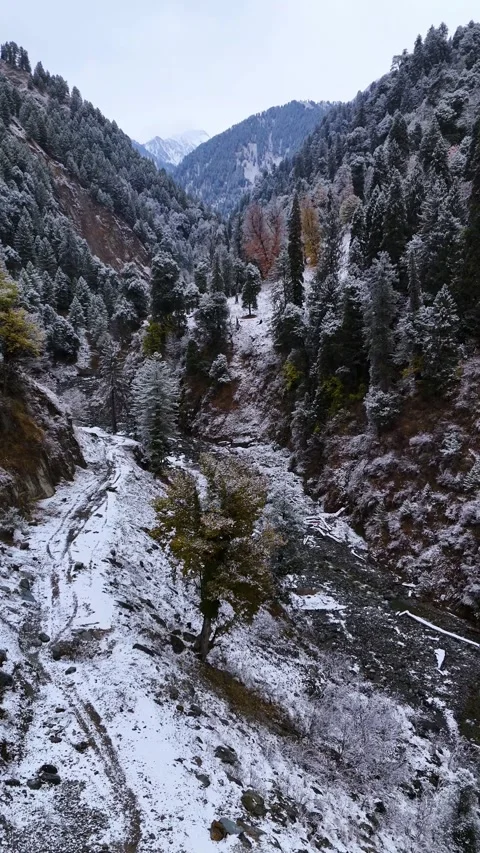 Vertical drone footage showcasing a snow-covered Mughal Road winding through the Stock Footage 311151479