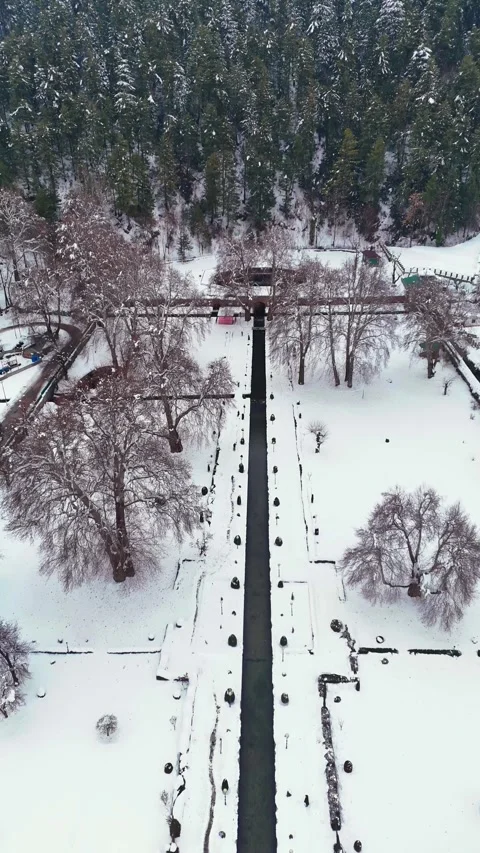 Vertical drone footage showcasing soft winter light illuminating Verinag Park’s Stock Footage 311128748