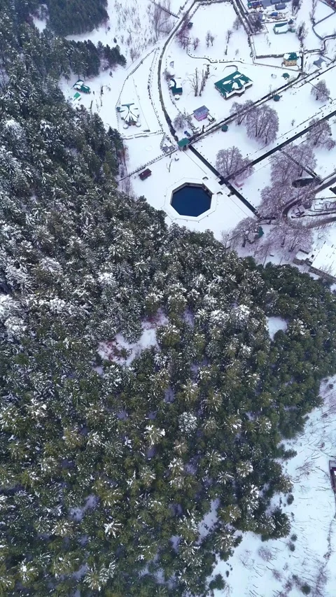 Vertical drone footage of snow-covered pine trees standing tall near the serene Stock Footage 311129150
