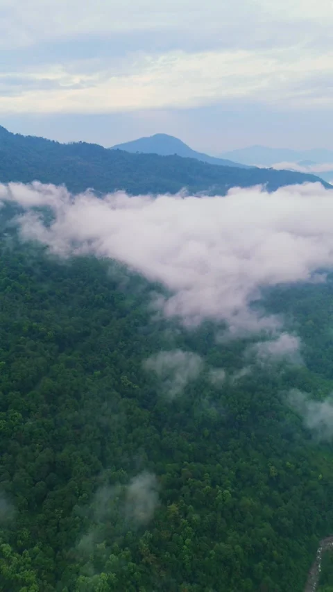 Vertical Drone footage of soft clouds drifting over the lush green hills of Stock Footage 311370835