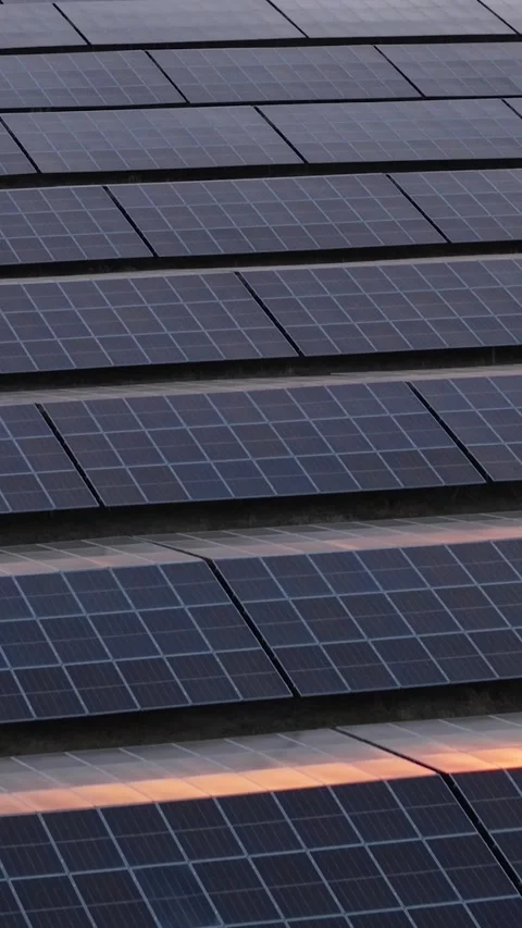 Vertical Drone Footage of Solar Panel Field in Bulgaria at Sunset Clean Stock Footage 336069451