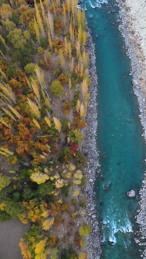 Vertical drone footage transitioning from trees to flowing river. Stock Footage 310661749