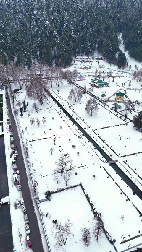 Vertical drone footage of an untouched winter scene in Verinag Park with 動画素材 311129018