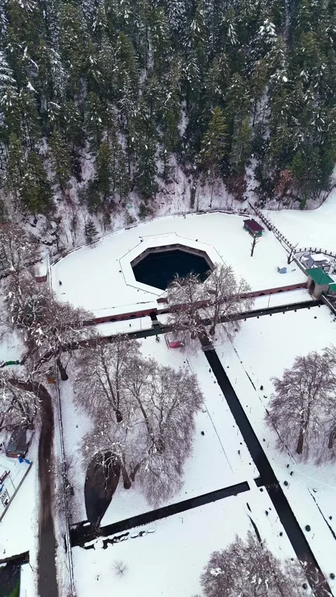Vertical drone footage weaving through Verinag Park’s bare trees as spring water Stock Footage 311128852
