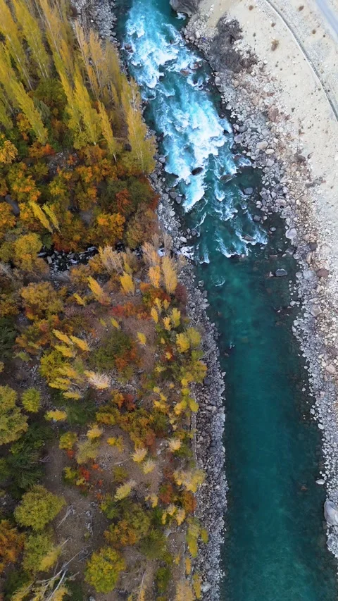 Vertical drone glide through golden treetops to serene water. Stock Footage 310661750