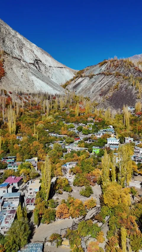 Vertical drone glides over peaceful autumn in Kargil’s mountain village. Stock Footage 310664841