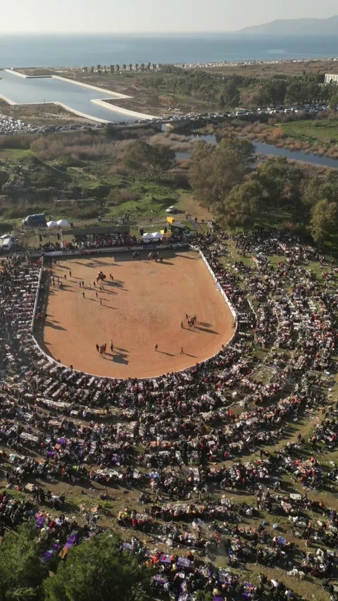 Vertical Drone Orbiting Camel Wrestling Festival Selcuk Jan 19 2025 Stock Footage 337487448