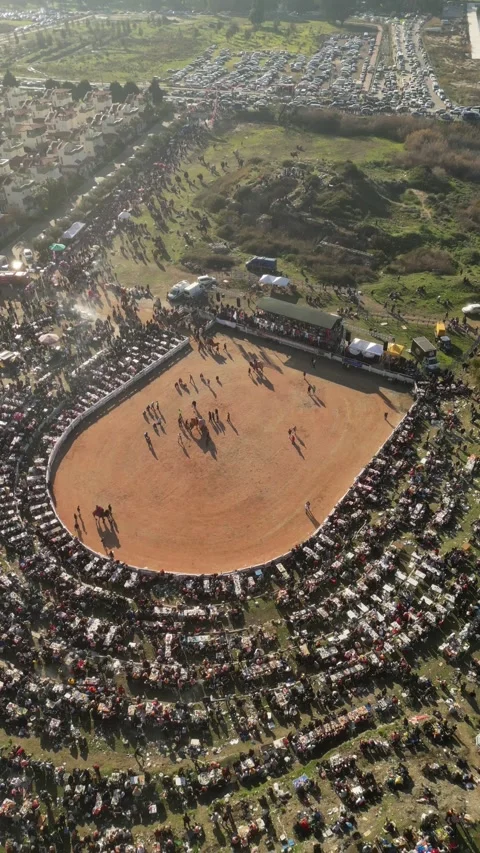 Vertical Drone Pulling Away From Camel Wrestling Festival Jan 19 2025 Editorial Stock Footage 337487917