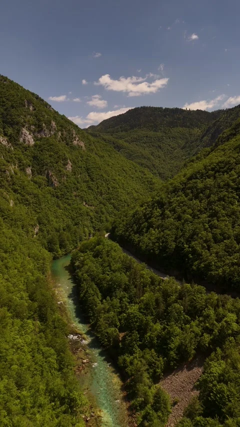 Vertical Drone Push over Tara River Rapids and Deep Canyon Gorge, 4K Stock Footage 337180296