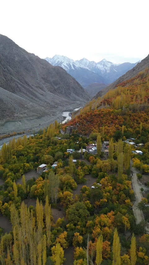 Vertical drone scene of high-altitude forest during autumn. Stock Footage 310661783