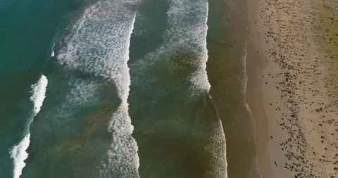 Vertical drone shot along the Fitzroy River coastline, Victoria, Australia. Stock Footage 93096219