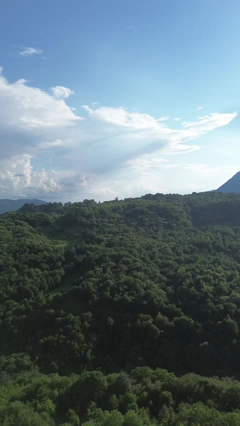 Vertical Drone Shot Approaching Forested Hilltop at Golden Hour, Georgia Vídeos de archivo 339359309