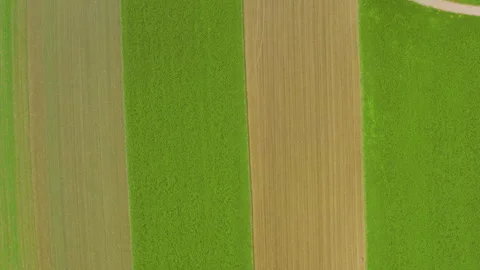 Vertical drone shot of autumn fields and lake in warm colors Stock Footage 318872927