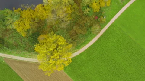 Vertical drone shot of autumn fields and lake in warm colors Stock Footage 318877397