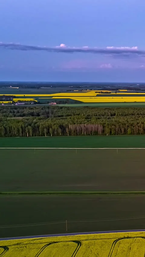 Vertical drone shot of colorful spring farmland with yellow rapeseed and wheat Stock Footage 333857503