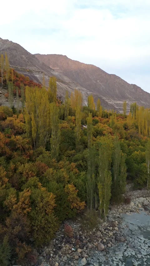 Vertical Drone shot of colorful trees reflecting on a flowing river Stock Footage 310661591