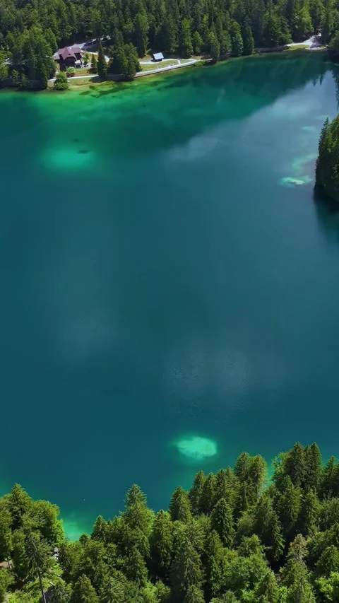 Vertical Drone Shot of Glacial Lake and Pine Forest in Landscape of Italian Alps Stock Footage 341436410