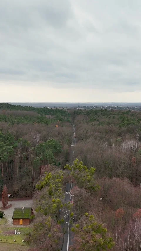 Vertical Drone Shot Hovering Over Road with Cars Passing Through Forest Stock Footage 323877995