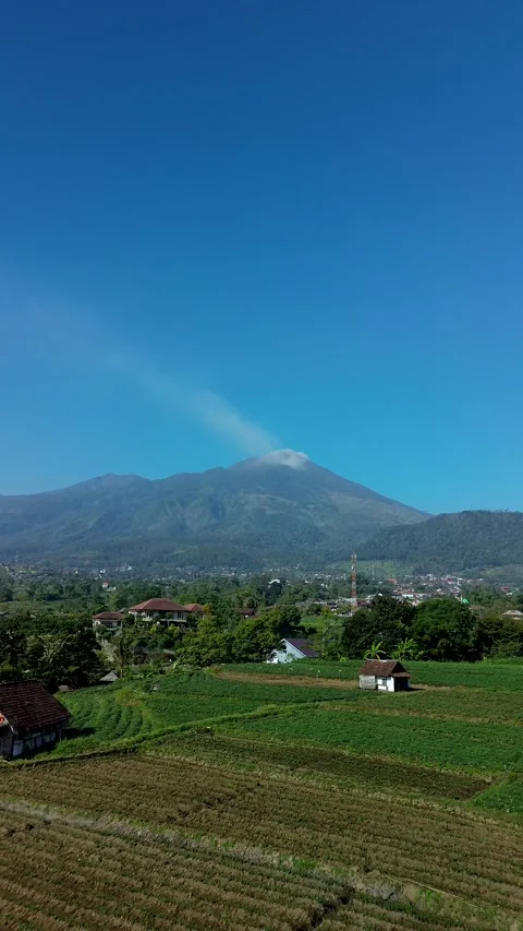 Vertical Drone Shot of Lush Farm Fields and Mountain Peak August 2 2026 Video stock 341872324