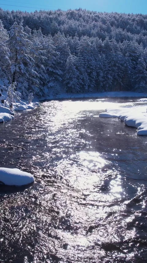 Vertical Drone Shot of Mountain River Flowing Under Snow Capped Forest on Sunny Stock Footage 308519037