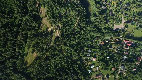Vertical drone shot moving over river forest and houses Video stock 320121556