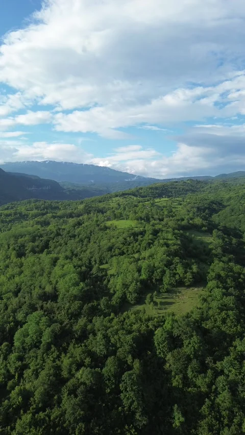 Vertical Drone Shot Over Forested Mountains, Blue Sky and Clouds, Georgia Vídeos de archivo 339360892