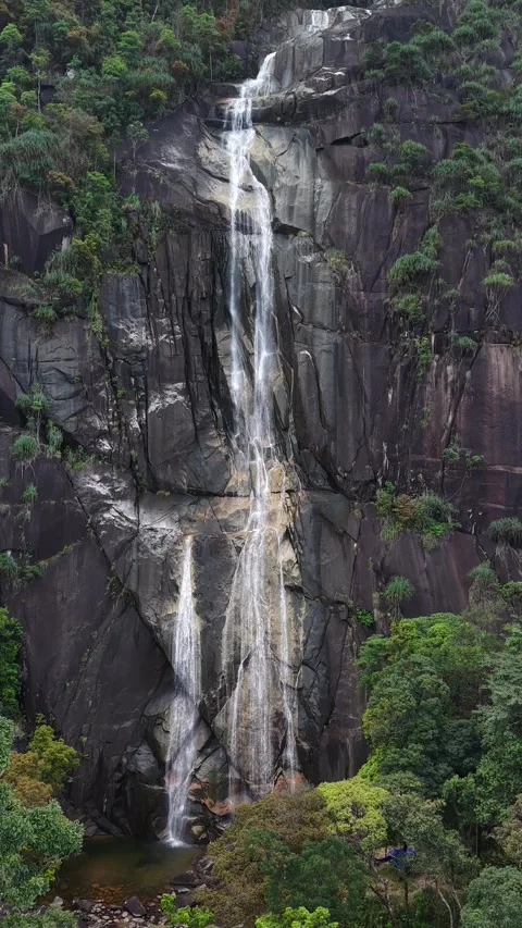 Vertical Drone Shot Pulling Back from Tall Waterfall in Deep Jungle Valley 스톡 동영상 343701422