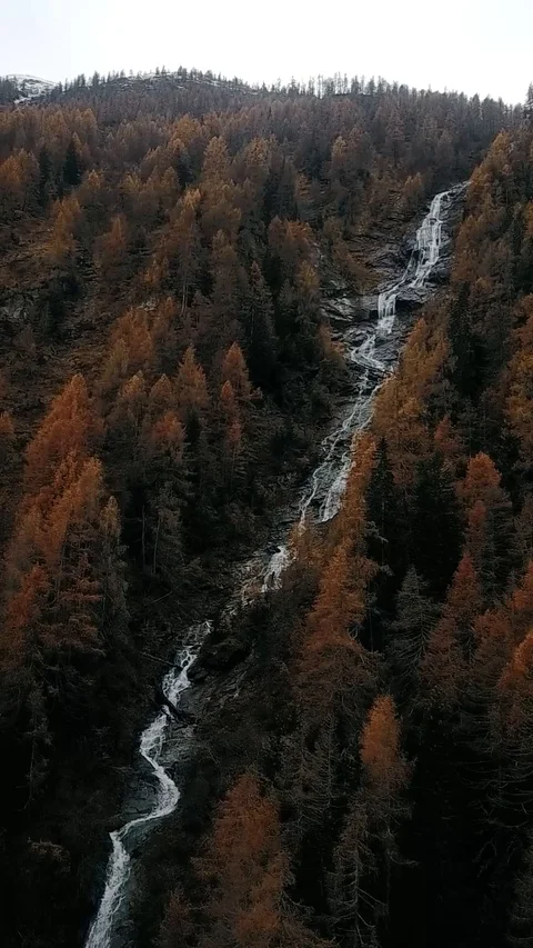 Vertical drone shot of a river in the middle of the forest Stock Footage 127467354