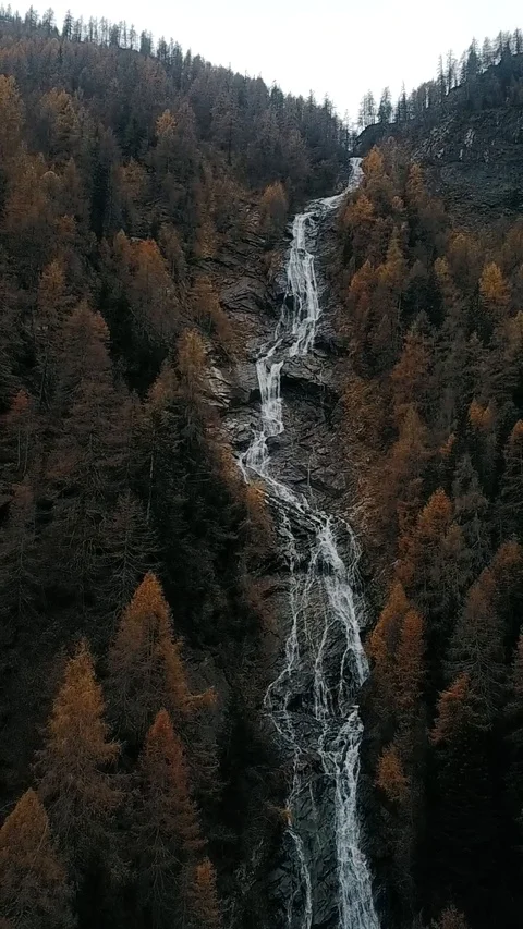 Vertical drone shot of a river in the middle of the forest Stock Footage 127467380