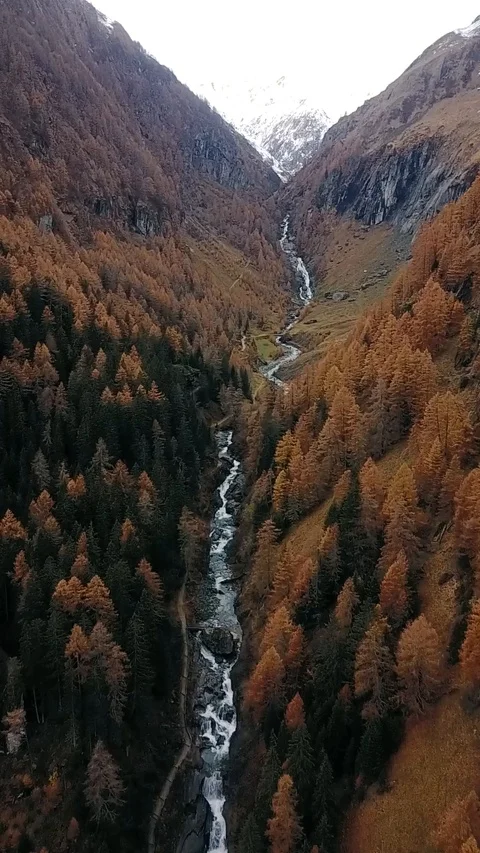Vertical drone shot of a river in the middle of the forest Stock Footage 127467419