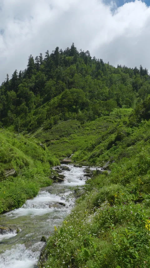 Vertical drone shot of rushing clear stream in green mountain valley Stockbeeldmateriaal 346802379