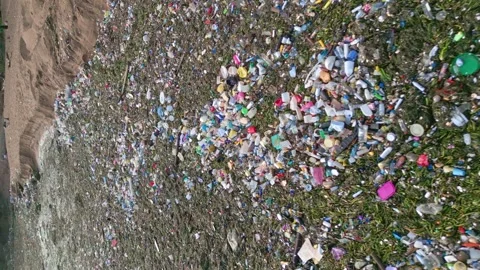 Vertical drone shot showing tons of pollution swimming in Caribbean Sea - Video stock 243697836
