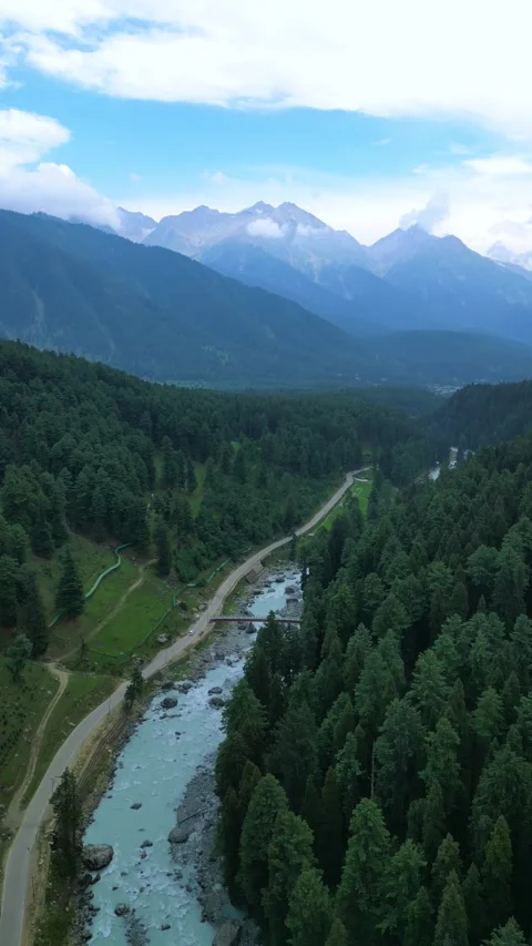 Vertical drone showing the scenic elegance of Pahalgam’s river and pine trees. Stock Footage 310806566