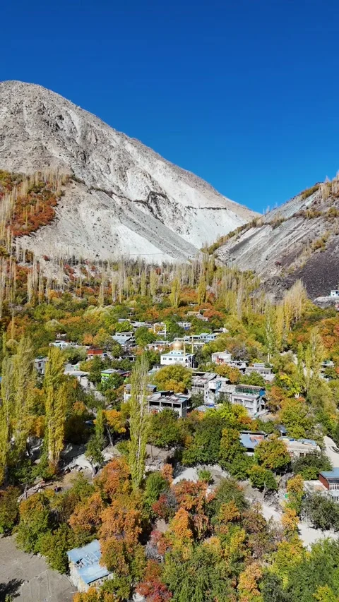 Vertical drone shows golden trees surrounding a remote Kargil village. Stock Footage 310664581