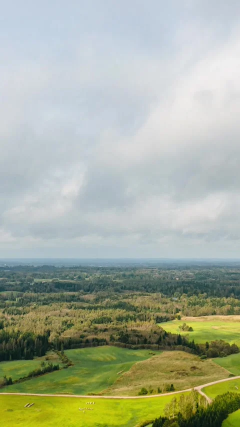 Vertical drone timelapse of cloud shadows moving across a green rural landscape Stock Footage 341851545