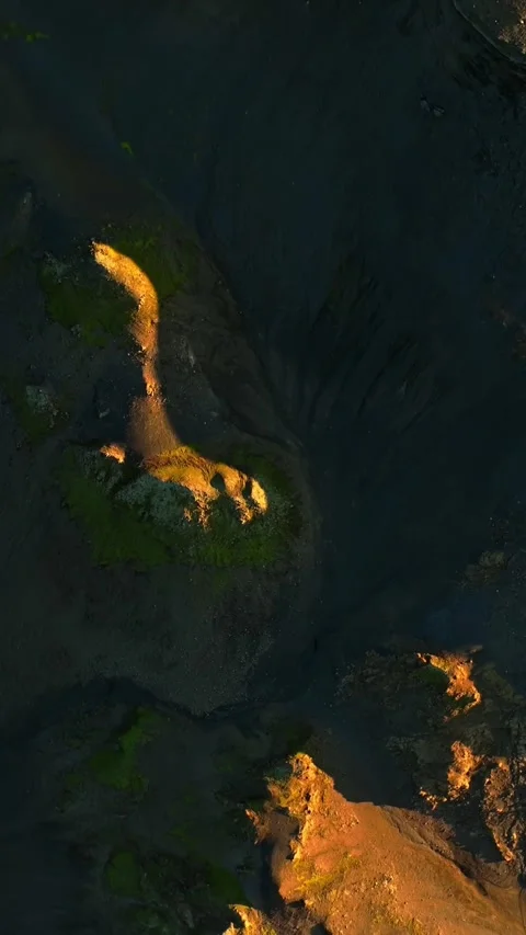 Vertical drone top-down of dark volcanic ash dunes with sunlit ridges and green Video stock 330901723