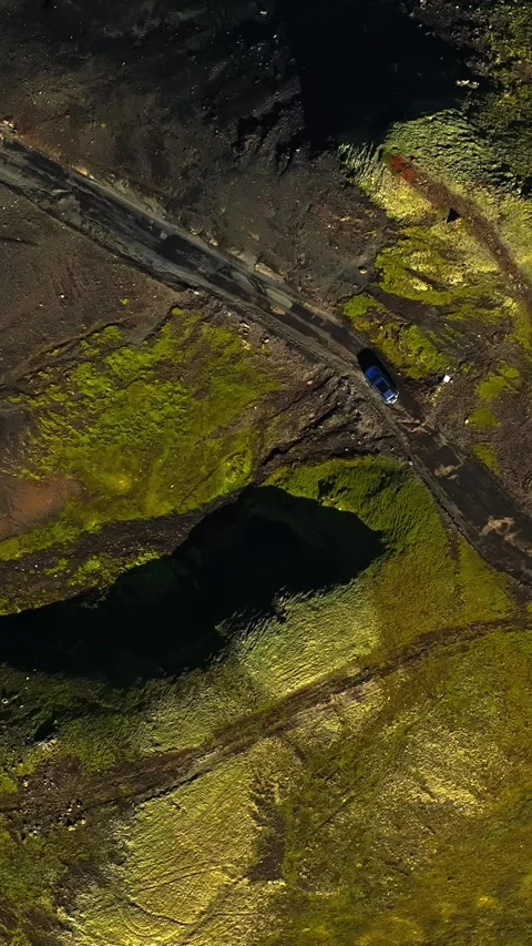 Vertical drone top-down shot of an SUV crossing a narrow track through mossy 動画素材 331609006
