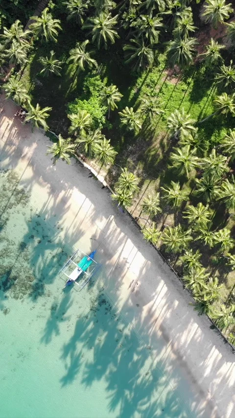 Vertical drone video of El Nido at sunrise from hidden beach Stock Footage 285829141