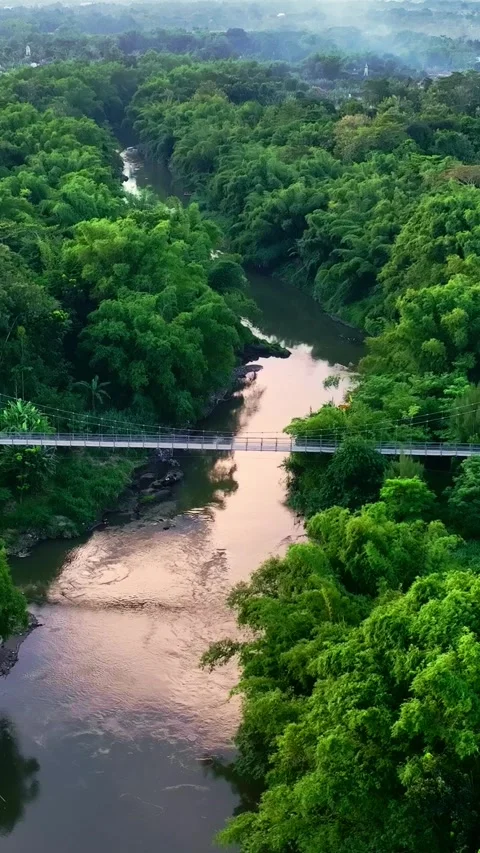 Vertical drone video of forest river bridge Stock Footage 336316402
