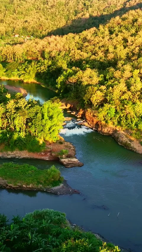 Vertical drone video of golden forest river bends Stock Footage 336315986