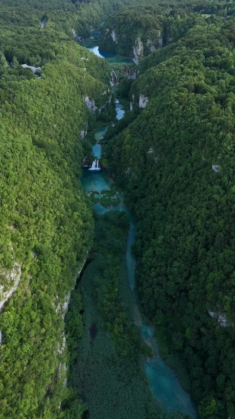 Vertical drone video of lush river gorge with flowing water Stock Footage 323504046