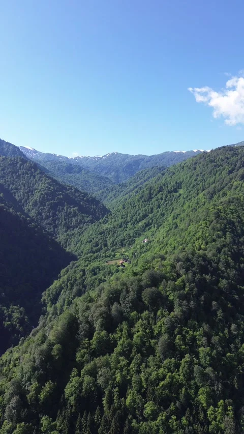 Vertical Drone Video Over Forested Peak at Sunrise, Adjara, Georgia Stock Footage 341426616