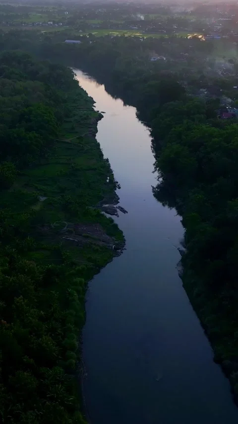 Vertical drone video over narrow forest river Stock Footage 336316719