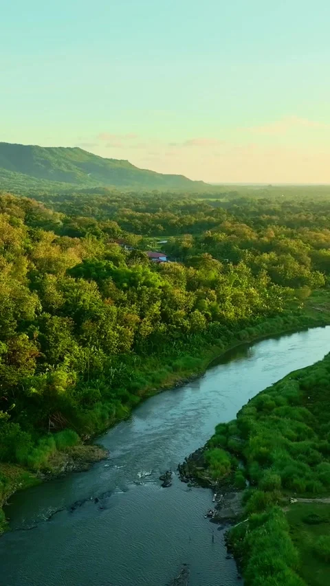 Vertical drone video of river beside mountains Stock Footage 336316257