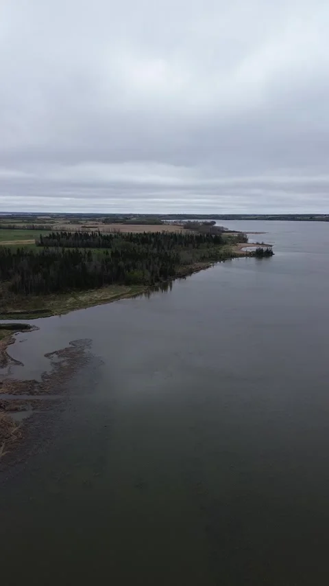 Vertical Drone Video of a River Ferry Crossing on a Moody, Overcast Day Stock Footage 312417104
